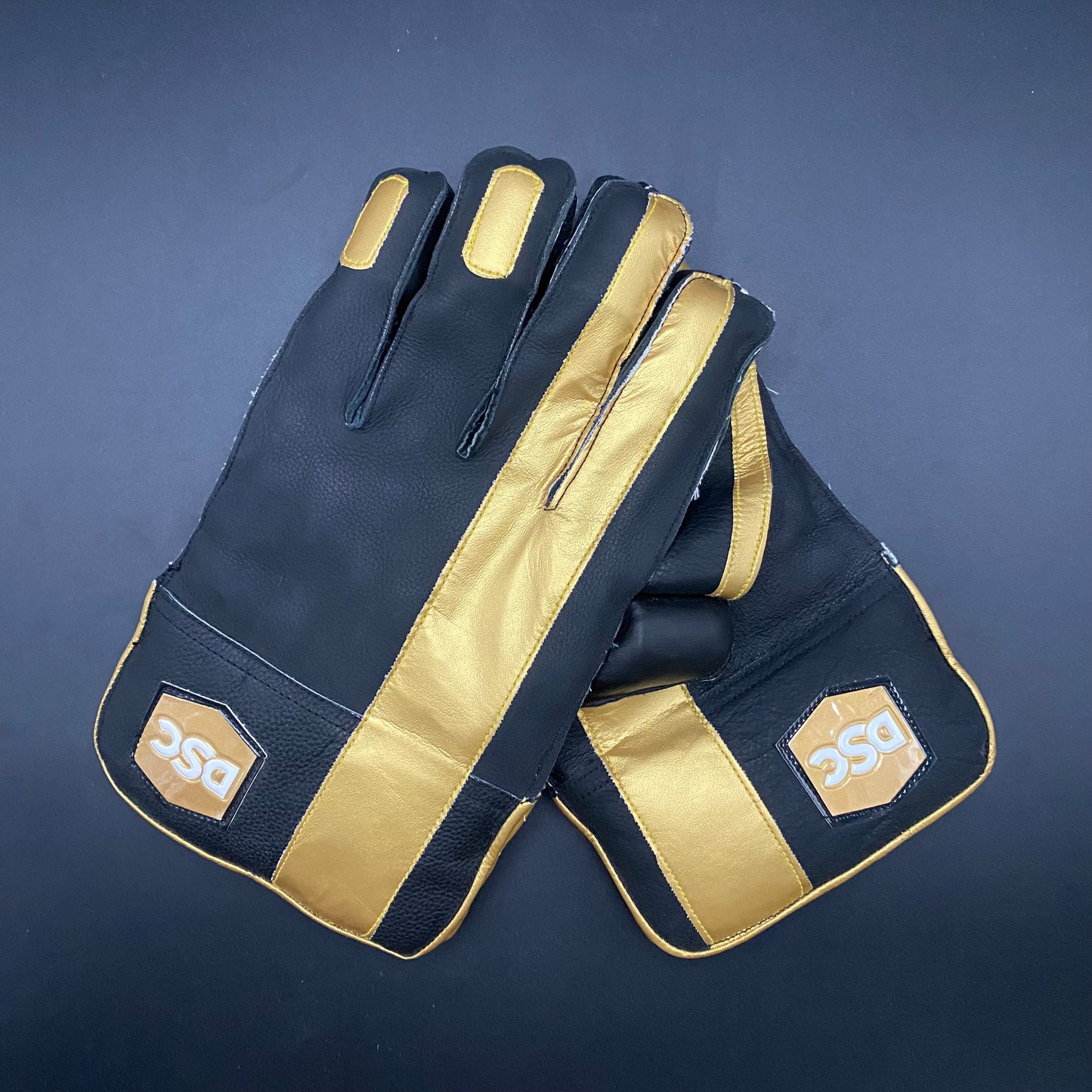 DSC Keeping Gloves - Elite Wicket-Keeper's Choice