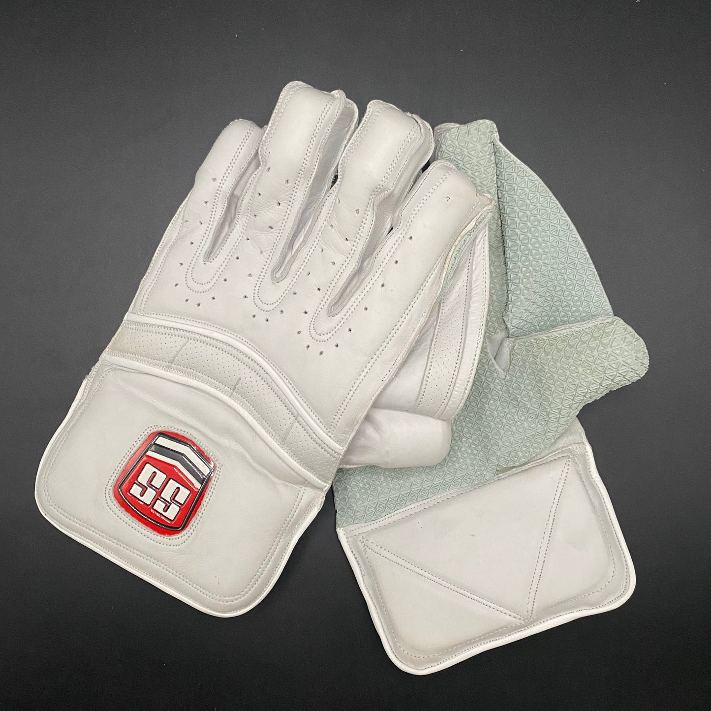 SS Keeping Gloves - Expert Wicket-Keeper's Choice